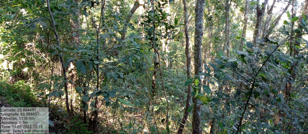 C:\Users\Lavinia Pde\Downloads\WhatsApp Image 2023-02-02 at 10.04.43.jpeg